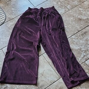 Livi Active Deep Purple Wide Leg Velour Pants 2 Pockets
